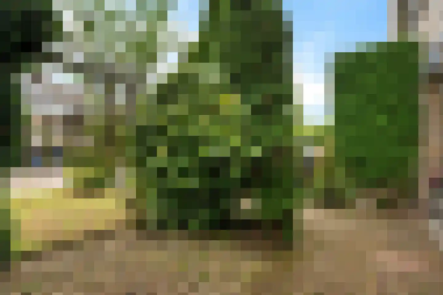 Bottinge 72 Sneek thumbnail 42