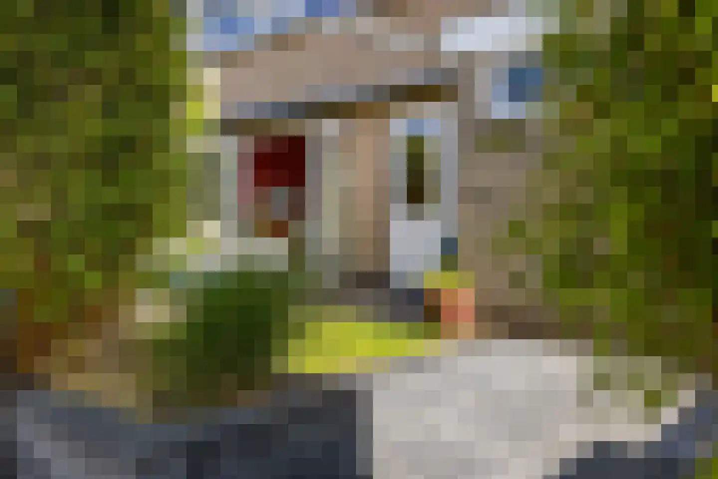 Bottinge 76 Sneek thumbnail 36
