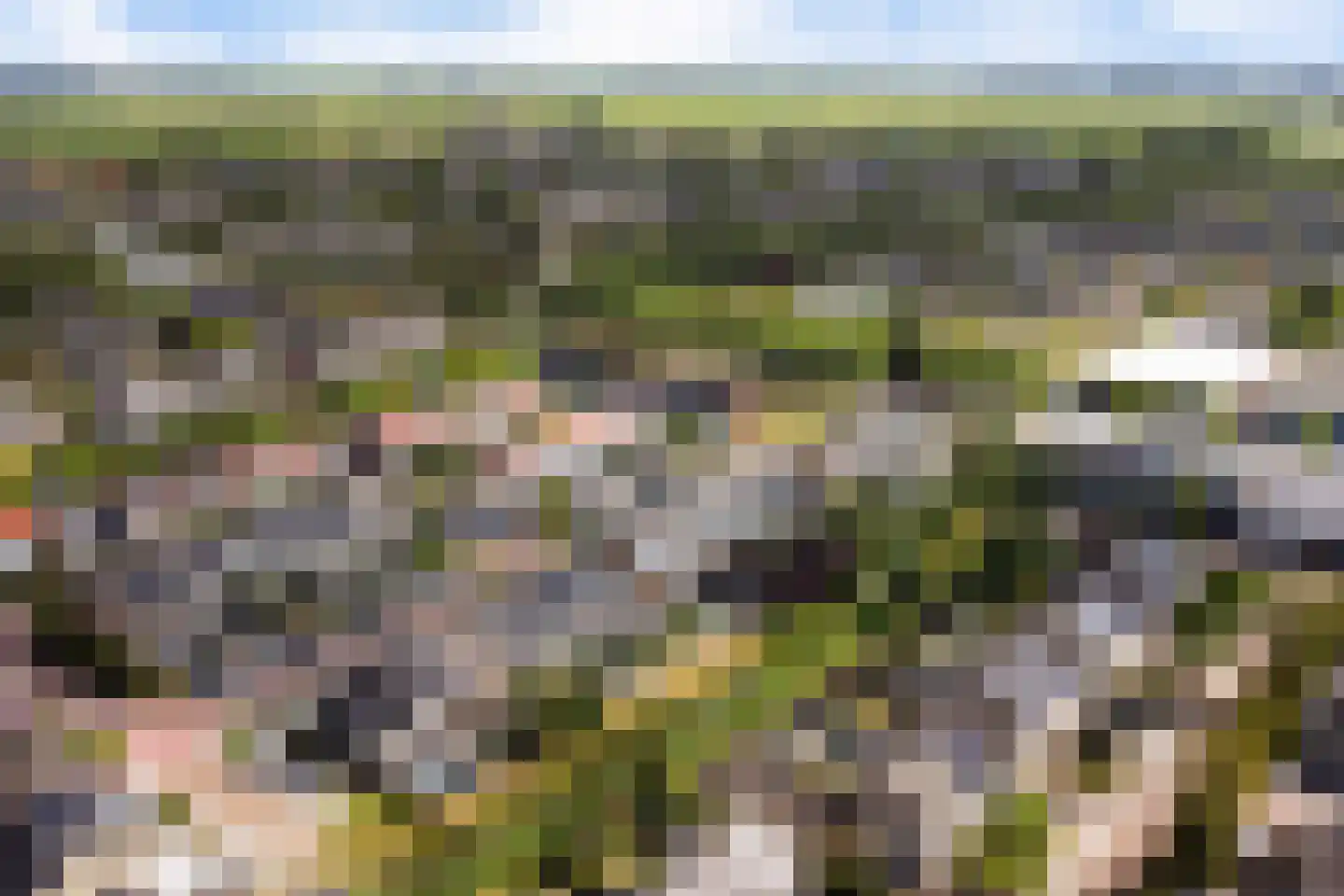 Bottinge 76 Sneek thumbnail 47