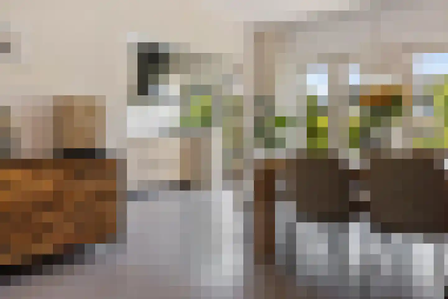 Bottinge 76 Sneek thumbnail 7
