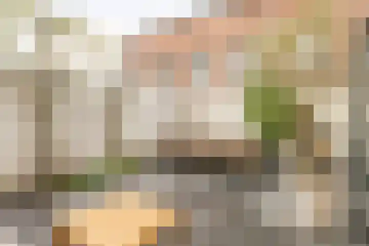 Botweg 20 Bussum thumbnail 25