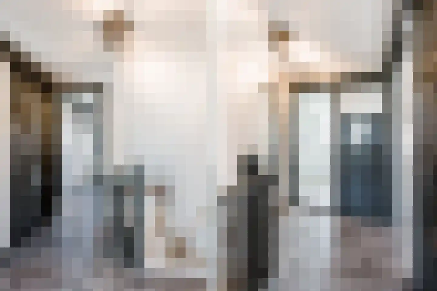 Botweg 24 Bussum thumbnail 18