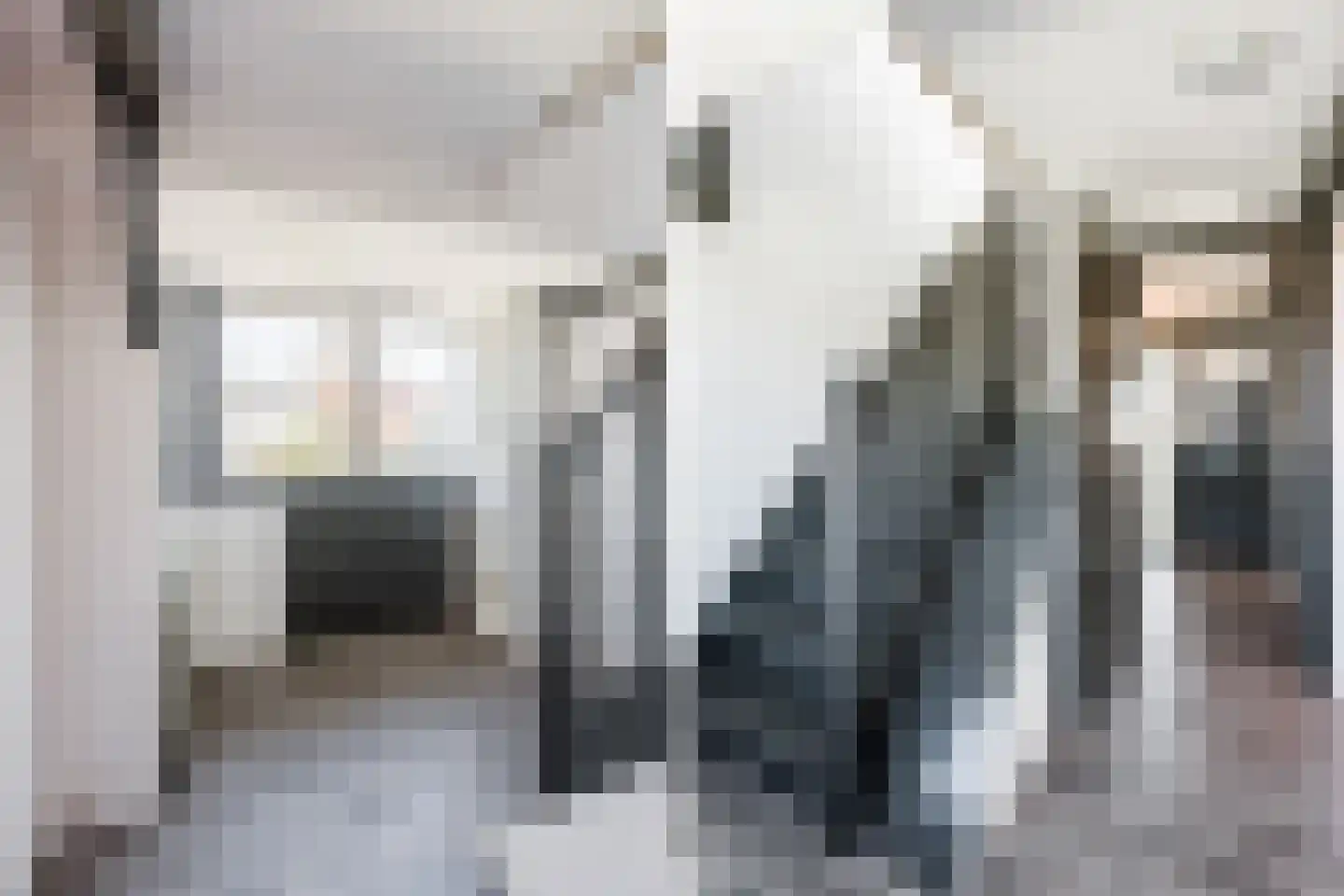 Botweg 24 Bussum thumbnail 26