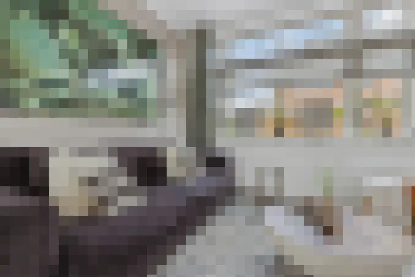 Botweg 6 Bussum thumbnail 15