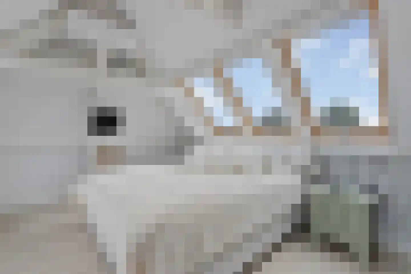 Botweg 6 Bussum thumbnail 36