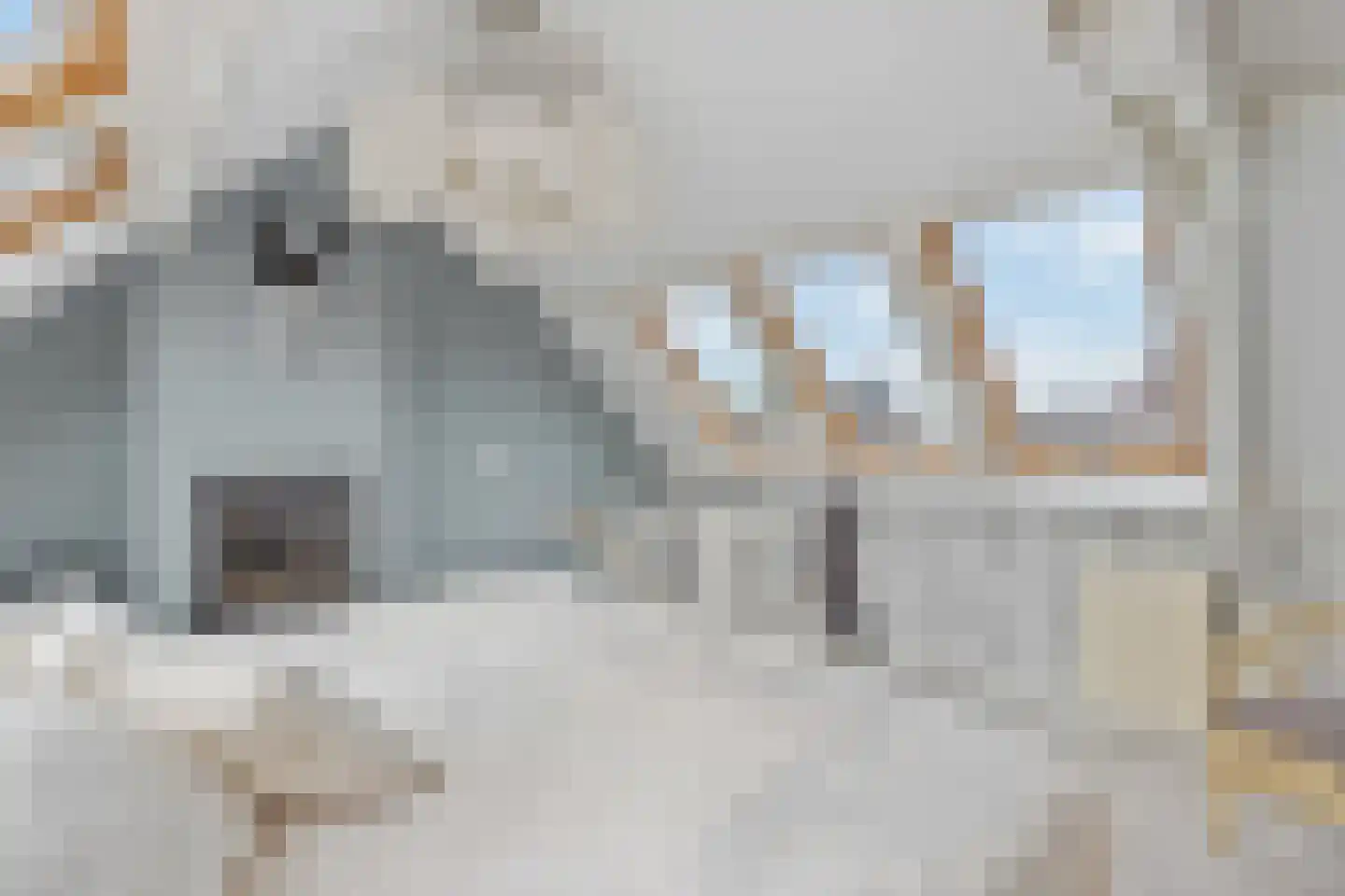 Botweg 6 Bussum thumbnail 39