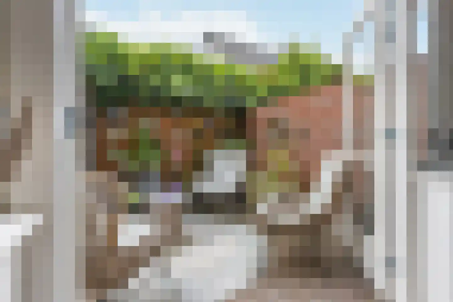 Botweg 6 Bussum thumbnail 41