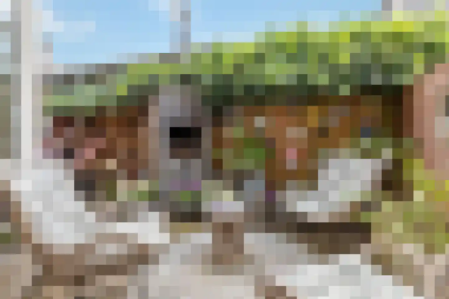 Botweg 6 Bussum thumbnail 42