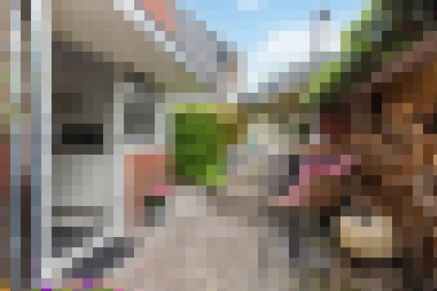Botweg 6 Bussum thumbnail 44