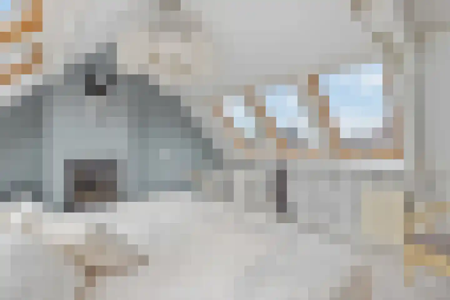 Botweg 6 Bussum thumbnail 5
