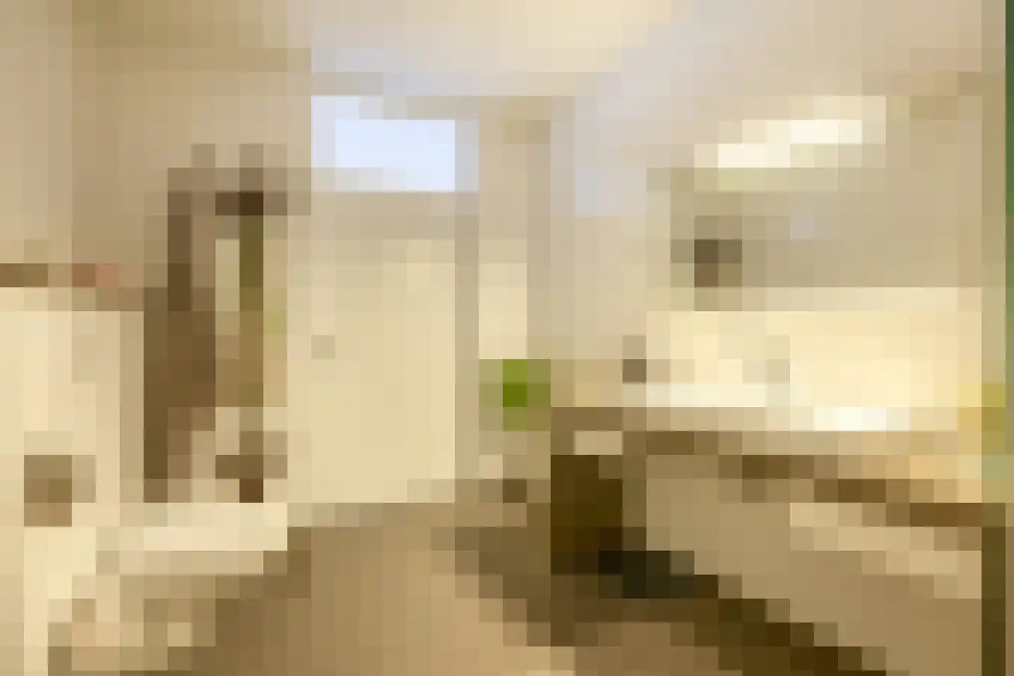 Bouburg 10 Drachten thumbnail 28
