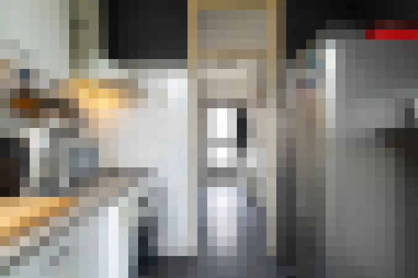 Boucquetstraat 13 Geertruidenberg thumbnail 9