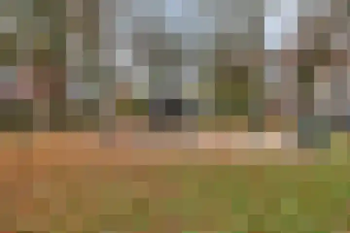 Boucquetstraat 16 Geertruidenberg thumbnail 32