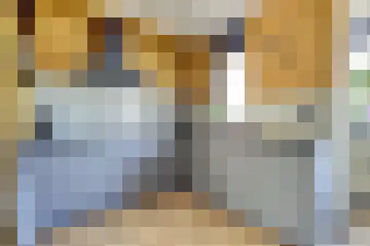 Boudewijn Büchlaan 13 Kloetinge thumbnail 17