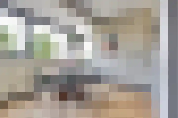 Boudewijn Büchlaan 13 Kloetinge thumbnail 19