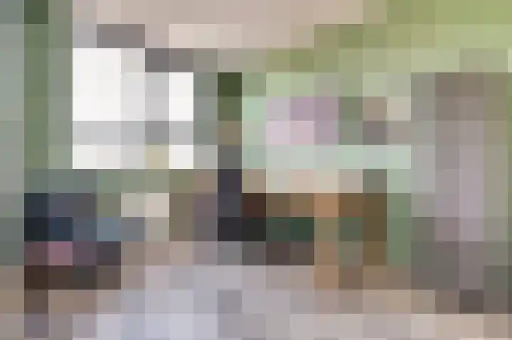 Boudewijn Büchlaan 13 Kloetinge thumbnail 25
