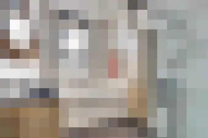 Boudewijn Büchlaan 13 Kloetinge thumbnail 26