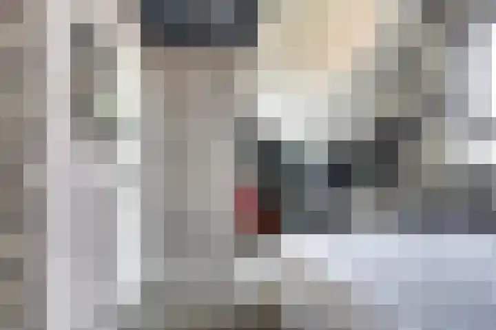 Boudewijn Büchlaan 13 Kloetinge thumbnail 30