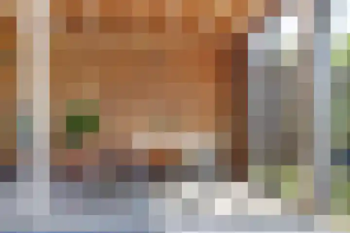 Boudewijn Büchlaan 13 Kloetinge thumbnail 36