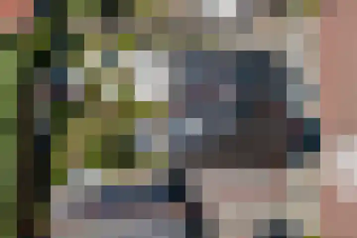 Boudewijn Büchlaan 13 Kloetinge thumbnail 41