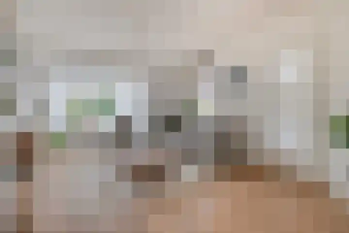 Boudewijn Büchlaan 6 Kloetinge thumbnail 10