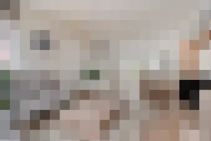 Boudewijn Büchlaan 6 Kloetinge thumbnail 13