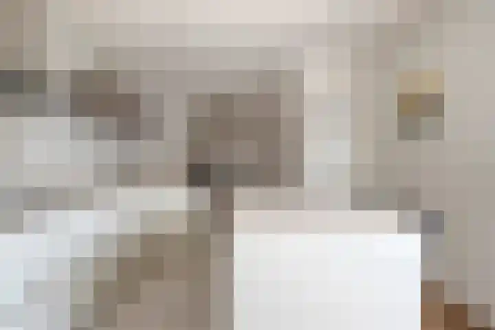 Boudewijn Büchlaan 6 Kloetinge thumbnail 18