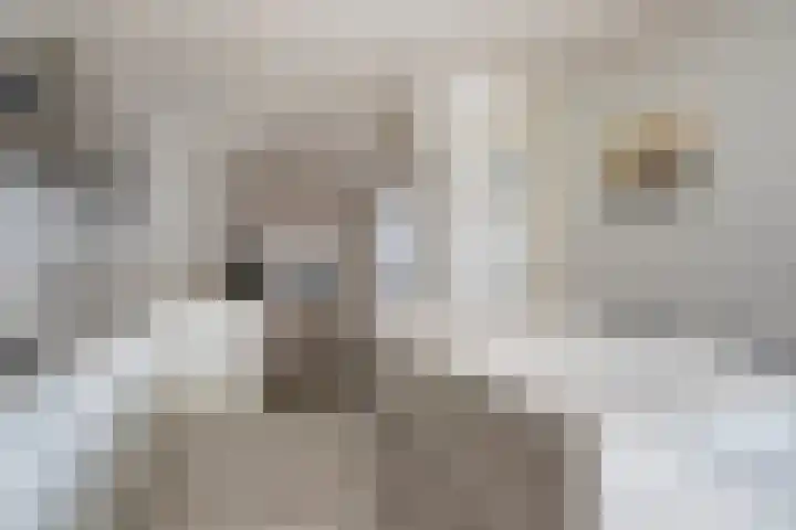 Boudewijn Büchlaan 6 Kloetinge thumbnail 19