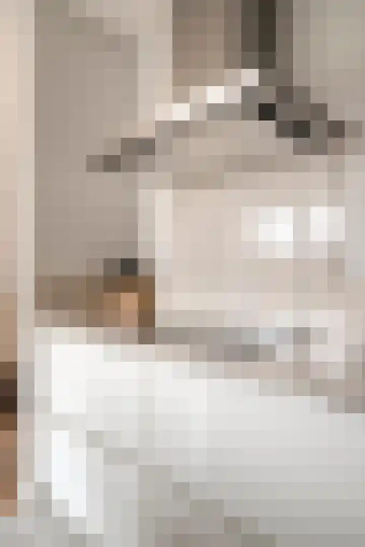 Boudewijn Büchlaan 6 Kloetinge thumbnail 21