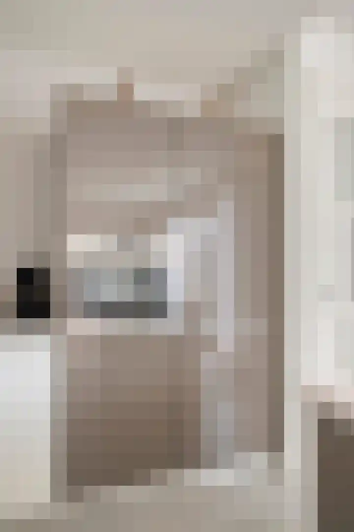 Boudewijn Büchlaan 6 Kloetinge thumbnail 22