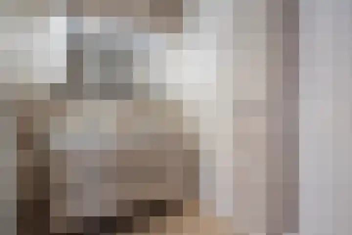 Boudewijn Büchlaan 6 Kloetinge thumbnail 28