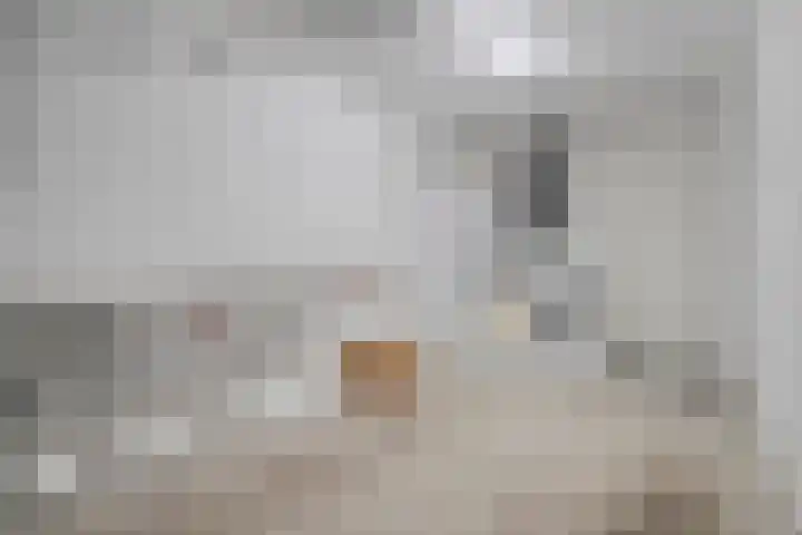 Boudewijn Büchlaan 6 Kloetinge thumbnail 41