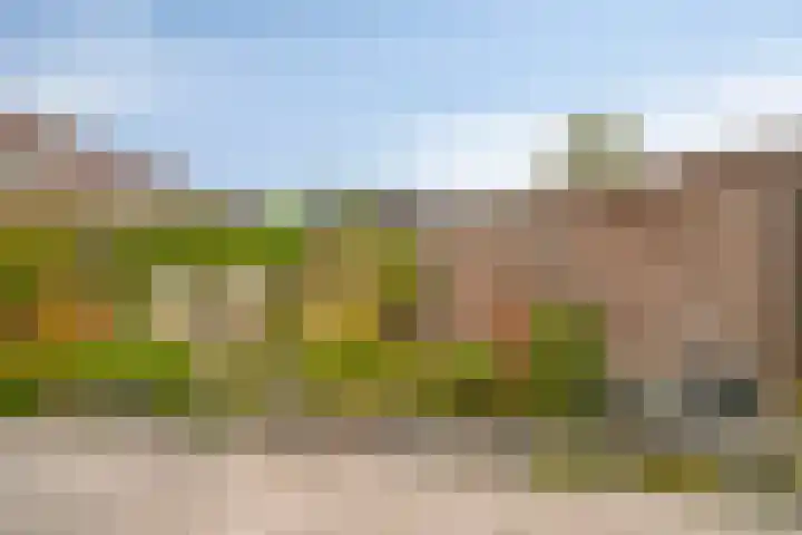 Boudewijn Büchlaan 6 Kloetinge thumbnail 44