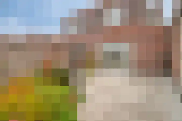 Boudewijn Büchlaan 6 Kloetinge thumbnail 45