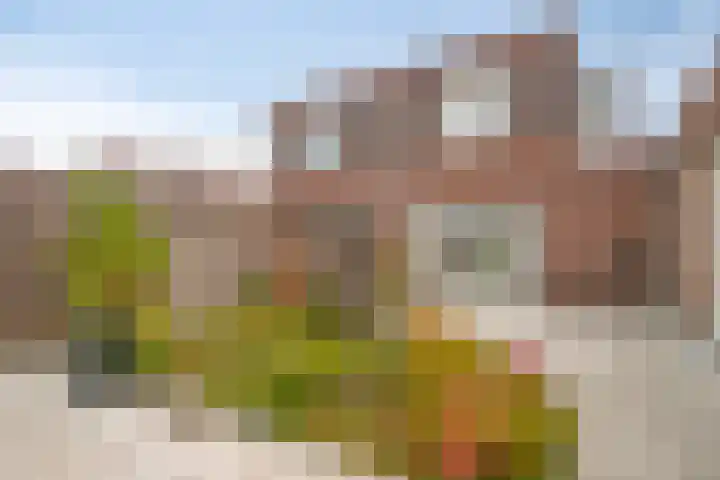 Boudewijn Büchlaan 6 Kloetinge thumbnail 46