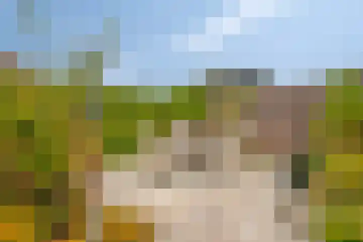 Boudewijn Büchlaan 6 Kloetinge thumbnail 47