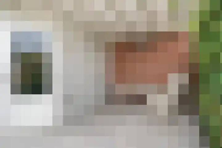 Boudewijn Büchlaan 6 Kloetinge thumbnail 49
