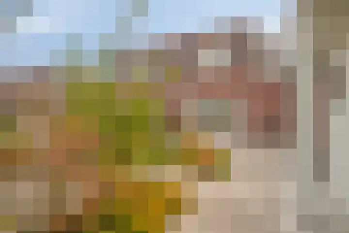 Boudewijn Büchlaan 6 Kloetinge thumbnail 50