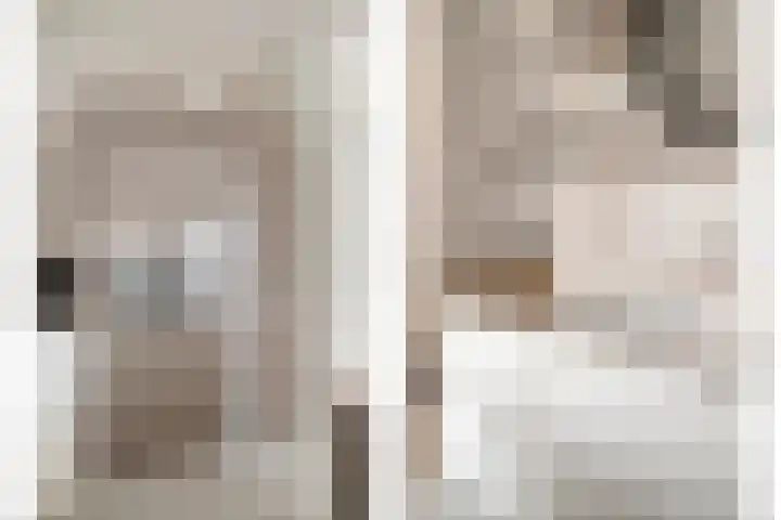 Boudewijn Büchlaan 6 Kloetinge thumbnail 54