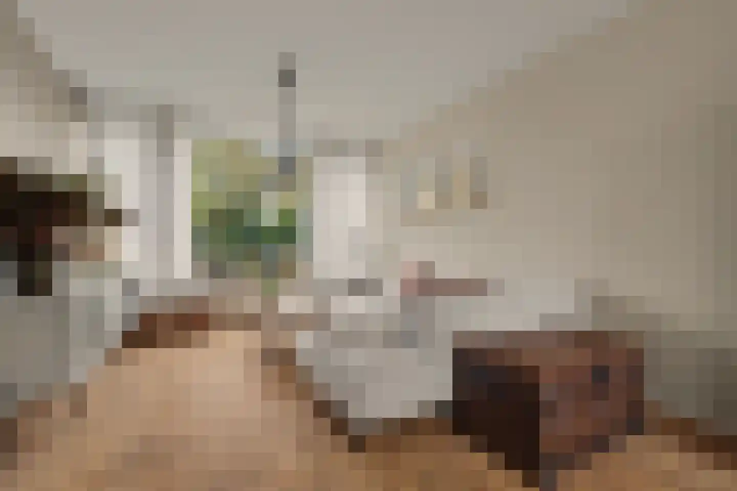 Boudewijn Drenkwaartlaan 18 Willemstad thumbnail 10