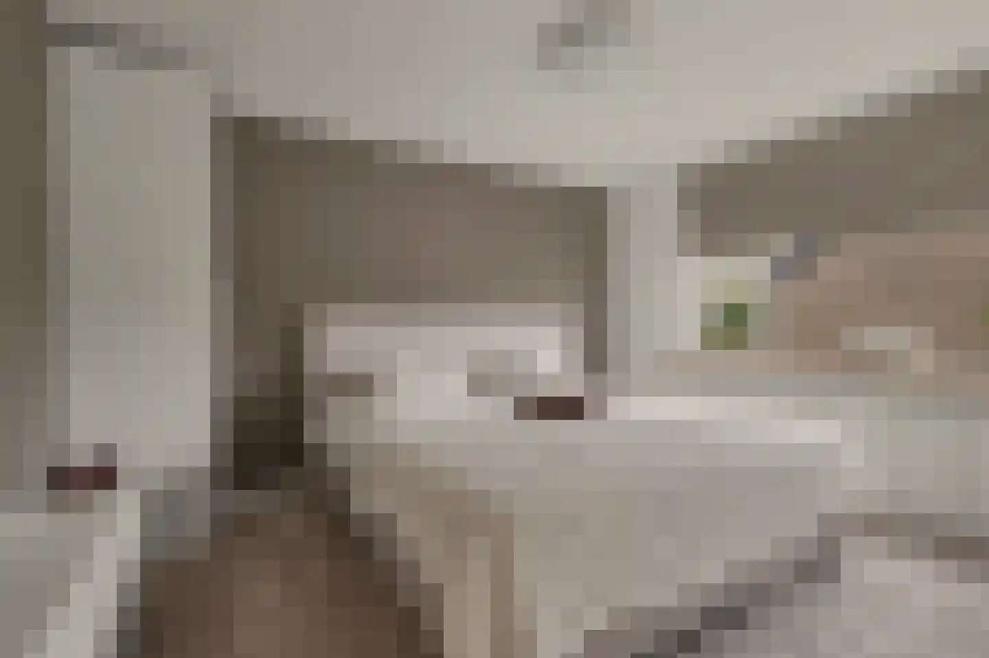 Boudewijn Drenkwaartlaan 18 Willemstad thumbnail 17