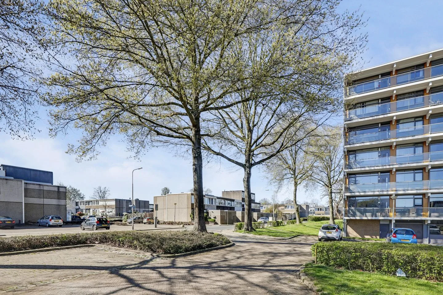 Boudewijn-Eik 52 Kerkrade thumbnail 8