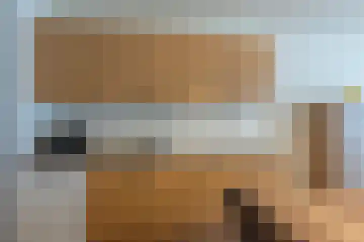 Boudewijn-Eik 53 Kerkrade thumbnail 10