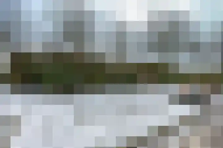 Boudewijn-Eik 53 Kerkrade thumbnail 21