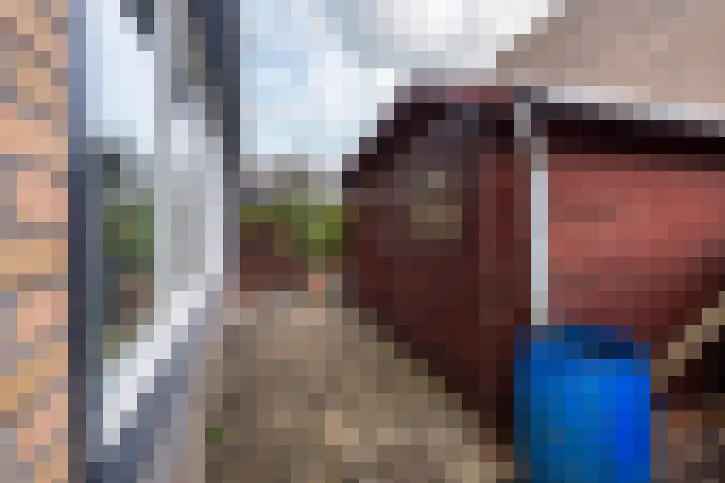 Boudewijn-Eik 53 Kerkrade thumbnail 26