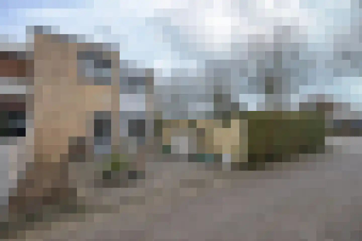 Boudewijn-Eik 53 Kerkrade thumbnail 28
