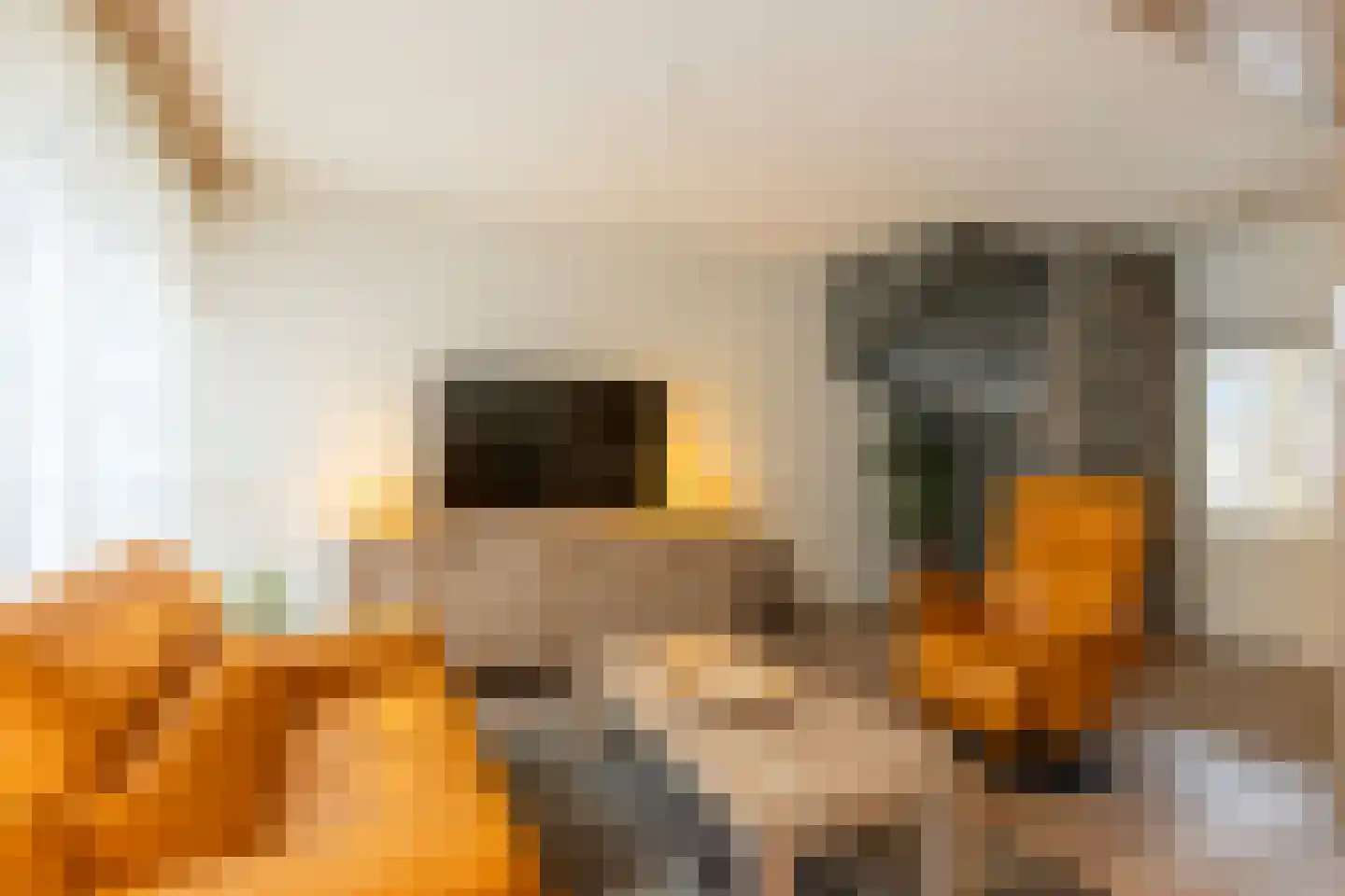 Boudewijn-Eik 53 Kerkrade thumbnail 8