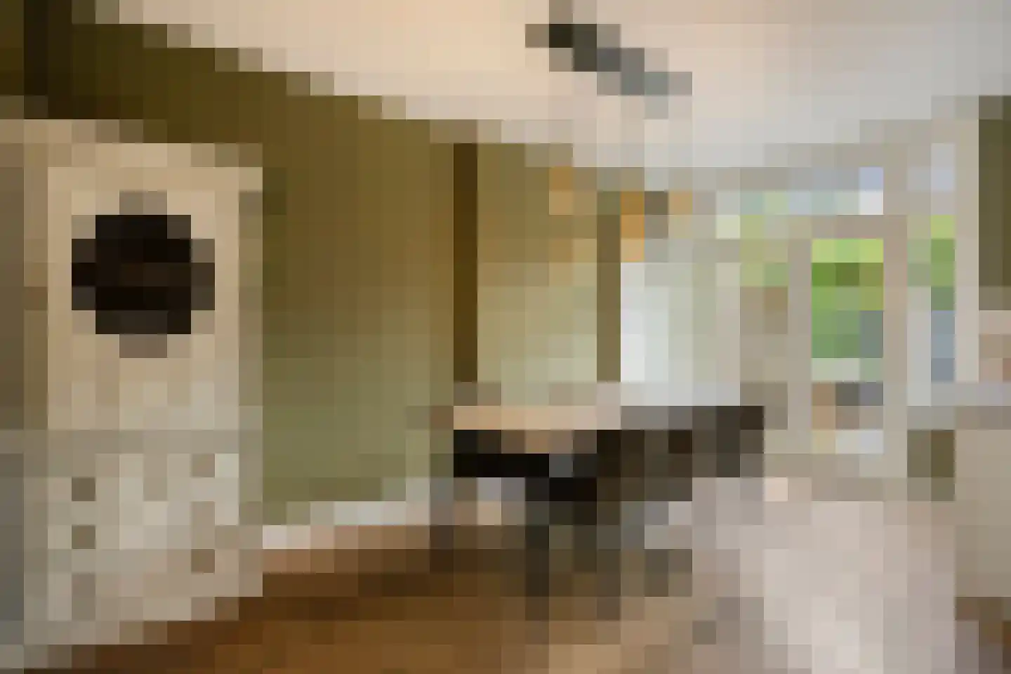 Boudewijn van Roonstraat 18 Arnhem thumbnail 15