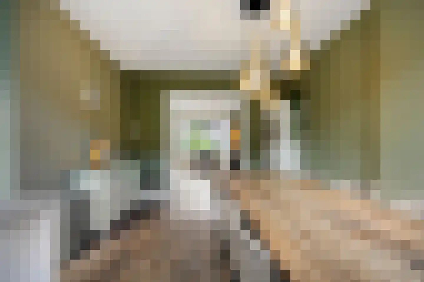 Boudewijn van Roonstraat 18 Arnhem thumbnail 16