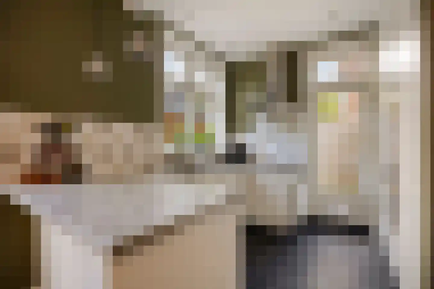 Boudewijn van Roonstraat 18 Arnhem thumbnail 18
